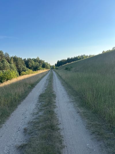 This media file depicts a landscape scene in Лунненскі сельскі Савет, Belarus. The primary subjects are a dirt road stretching into the distance and the surrounding natural environment, which includes tall grass on one side of the road and a dense line of trees on the other. The scene is set in an outdoor, rural location.
The image captures a bright, clear day with a predominantly blue sky, suggesting fair weather. The presence of sunlight casting distinct shadows indicates it is likely daytime, possibly late morning or afternoon, given the angle of the light. The road appears to be a path or track, possibly used by vehicles as evidenced by tire marks visible in the dirt. The grass is tall and somewhat dry, hinting at a warm season, likely summer or early autumn. The trees are lush and green, forming a thick border along one edge of the road, suggesting a forested area adjacent to the open field.
There are no people or specific objects of interest other than the natural elements and the road itself. The overall mood of the image is one of tranquility and vastness, characteristic of open natural landscapes. No visible text is present in the image. The perspective of the photograph is from a slightly elevated position, looking down and along the road as it recedes into the horizon.