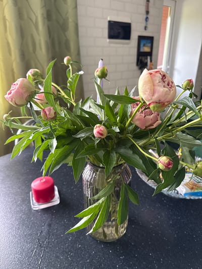 A vase of light pink peonies sits on a dark speckled table. To the left of the vase is a red pillar candle on a clear glass stand. In the background, a pale green curtain is visible, with a white brick wall behind it. A framed picture hangs on the wall. The scene is an indoor still life.
