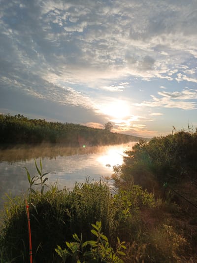 This is a medium shot, eye-level, natural light, horizontal photograph of a riverbank in Dzhiginka, Russia at sunrise. The sun is low on the horizon, casting a warm glow over the scene. A light fog hovers over the water. The foreground is dominated by tall green grasses and a red fishing rod leaning against them. The middle ground features the calm river with its reflection of the sky and surrounding vegetation. The background shows a dense line of trees and reeds along the opposite bank, with the sunrise creating a bright halo in the sky. Several fishing rods are visible on the right side of the frame, resting on the bank. The sky is filled with scattered clouds, some of which are illuminated by the rising sun.