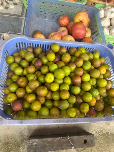 The image shows a close-up, overhead view of a blue plastic basket filled with plums. The plums are a mix of green and reddish-purple colors, and appear to be fresh. Behind this basket, partially visible, is another blue plastic basket containing apples, and to the right, a green plastic basket with garlic. The baskets are placed on a tiled surface, and a wooden object is visible in the foreground. The lighting suggests an outdoor environment, possibly a market stall. There are no people or animals visible in the image. The scene appears to be located in Pac Ta, Vietnam, as indicated by the text "SONG LONG PLASTIC" embossed on the blue basket, which is a common brand for plastic products in Vietnam.