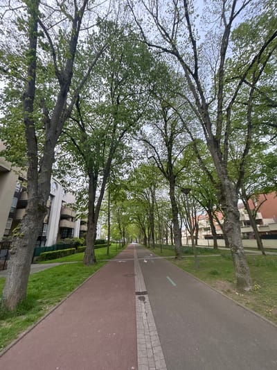 The image depicts a street scene in Noisiel, France, likely a residential area. A row of tall, mature trees lines the left side of the frame, their branches and foliage forming a partial canopy overhead. The trees are planted along a paved walkway, and in between trees, a grass verge. The walkway is reddish-brown in color and runs parallel to a tiled pedestrian zone and the grass verge. Buildings are visible beyond the trees on both sides of the walkway, suggesting a residential setting. The sky is overcast, which diffuses the light and affects the color of the scene. The buildings visible behind the trees are typical of modern apartment buildings. There are no people visible in the image.