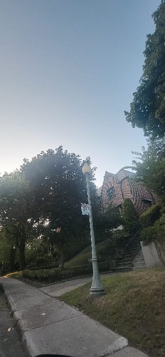 The image captures a residential street scene in Westmount, Canada, under a clear, light blue sky. A concrete sidewalk occupies the lower left foreground, adjacent to a visible curb. A grey, ornate street lamppost with a yellow luminaire cap is positioned in the midground, centrally. Attached to the lamppost is a white circular sign with a red diagonal line and an 'M' symbol, indicating a no-parking zone. To the left of the lamppost, a large, dark green deciduous tree stands prominently, with sunlight shining through its leaves creating a lens flare. Beyond the tree, a manicured hedge defines a property line. On the right, a multi-story house with a distinct red and brown patterned brick facade is visible, situated on an elevated, grassy slope. A set of concrete or stone steps with a dark metal handrail ascends the slope towards the house. The elevated property and surrounding area are densely covered with green foliage and additional trees. No individuals, vehicles, or apparent activity are present in the scene.