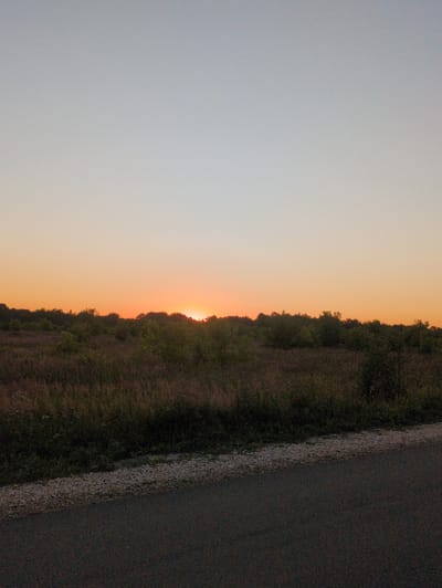 The image depicts a sunset over a field with trees at the horizon. The sky transitions from a pale blue at the top to a warm orange near the horizon. A line of trees is silhouetted against the sky, with the sun partially visible behind them on the right side of the frame. In the foreground, there is a road or pathway with a gravel shoulder bordering a field of grass and vegetation. The overall scene suggests an outdoor, natural environment during twilight.