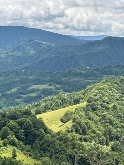 This is a vertical, eye-level, medium shot of rolling, forested hills in Orbeli, Georgia, under a cloudy sky. The foreground is dominated by lush green trees, with a bright green, sunlit patch of grass on a hillside. The middle ground shows more dense forest, with some houses visible on distant slopes. The background features layers of blue-hued, tree-covered mountains that fade into the hazy sky. There are no people or animals visible in the scene.
