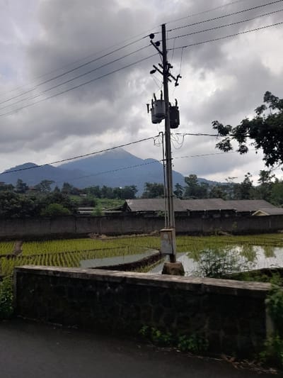 This image captures a rural or semi-rural landscape, likely in Kecamatan Prigen, Indonesia, under an overcast sky. The photograph is oriented vertically, but the scene itself is presented as a horizontal landscape with a prominent utility pole in the foreground.
A tall utility pole, equipped with multiple power lines and two transformers, stands upright in the left-center of the frame. The power lines stretch horizontally across the upper part of the image against a backdrop of dense, grey clouds. To the right of the pole and extending into the mid-ground, a vibrant green rice paddy field is visible, possibly newly planted or partially flooded for cultivation. A dark, textured stone wall, which appears to be part of a canal or boundary, runs along the right edge of the rice paddy, meeting a dark asphalt road in the extreme foreground on the right.
In the background, beyond the agricultural fields and some scattered structures or houses with dark roofs, large, distant mountains rise, their outlines softened by the cloudy atmosphere. Green trees and foliage are interspersed throughout the scene, particularly in the lower left and upper right corners, and along the mountain slopes. The sky is completely covered with heavy clouds, suggesting an overcast day. No people or visible text are present in the image. The overall impression is a peaceful, agricultural setting under a muted, cloudy sky.