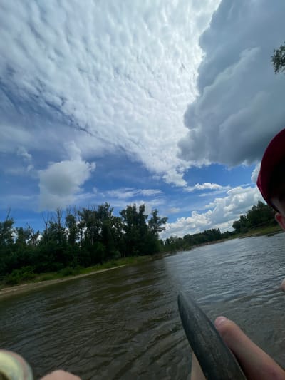 A first-person perspective shot shows a person in a red cap and partial view of their face, looking out at a wide, calm river. The river is bordered by a lush green tree line on the left bank, with some dead trees interspersed with the foliage. The sky above is a mixture of blue sky and dramatic, textured white and grey clouds. The water reflects the sky and the greenery on the bank. A dark, curved object, possibly part of a boat or kayak, is visible in the foreground, held by a person's hand. The setting appears to be a natural, outdoor environment, possibly during daytime. The image is not specific to the city of Samorodovo, Russia, as there are no identifying landmarks or context to suggest this location.