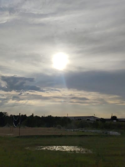 This is a landscape photograph taken outdoors. The scene depicts a rural or semi-rural setting with a field in the foreground, a line of trees in the midground, and buildings and structures in the background. The sky is overcast with a bright sun peeking through the clouds, suggesting it is either sunrise or sunset, with a faint lens flare visible. The overall mood is somewhat dramatic due to the lighting and cloud cover.
In the foreground, there is a grassy field with a puddle reflecting the sky. To the left, there are two wooden posts with what appears to be a volleyball net stretched between them, indicating an area for recreation. The midground is dominated by a dense line of dark green trees. Behind the trees, in the background, are several low-lying buildings with white roofs, possibly farm buildings or industrial structures. There are also some vertical poles, which could be utility poles, scattered across the horizon. A small speck in the sky above the sun might be a distant aircraft.
The weather appears to be partly cloudy, with the sun attempting to break through. The time of day is likely late afternoon or early evening, given the angle of the sun and the lighting conditions. The location context provided is "Райымбек, Kazakhstan," which suggests a setting in that region. There is no visible text in the image.