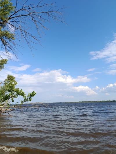 A wide shot of a body of water under a bright blue sky with scattered white clouds. The water is dark with gentle waves, and a tree with green leaves and bare branches extends into the frame from the left. The far bank of the water is lined with a dense forest. The scene appears to be a natural landscape, likely a river or lake, in Voskresensky District, Russia, given the provided context. There are no people or animals visible in the image.