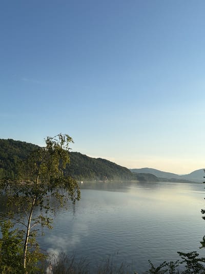 The image depicts a serene lake scene with rolling, tree-covered hills in the background, possibly the location of Lipie, Poland. The sky is a clear, pale blue, fading to a lighter hue near the horizon. A single, deciduous tree with sparse foliage is prominently featured in the foreground on the left side of the frame. The lake's surface is calm, reflecting the soft light of the sky and the distant hills, with subtle ripples indicating a gentle breeze. In the far distance, faint outlines of more hills can be seen. The overall impression is one of tranquility and natural beauty, likely captured during the early morning or late afternoon. No people are visible in the scene.