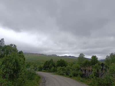 The image depicts a rural, mountainous landscape under an overcast sky, consistent with the weather often experienced in Hovden, Norway. A gravel road curves into the distance, bordered by lush green trees and vegetation. In the middle ground, several small wooden structures with grass roofs are visible behind a rustic wooden fence. The background features rolling green hills and distant mountains, some of which are capped with snow. The scene is devoid of any people or animals, presenting a serene and untouched natural environment.