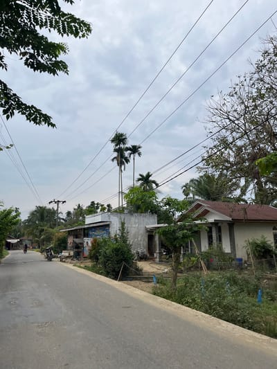 This image captures a scene on a rural road in Tanahterban, Indonesia, under an overcast sky, suggesting it's likely daytime. The perspective is from the side of the road, looking along its length and up towards the sky.
The foreground is dominated by the gray asphalt road, which curves to the right and takes up a significant portion of the lower right quadrant of the image. To the left of the road, several houses and structures are visible, interspersed with lush green foliage and tall palm trees. Power lines crisscross the sky, supported by utility poles. One pole with multiple wires is clearly visible in the middle ground.
In the middle distance, there are several buildings. One house on the left has a white exterior with decorative elements and a brown-tiled roof. Further along the road, there are smaller structures that appear to be shops or market stalls, one of which has a blue sign with visible text. A few people can be seen in the distance, including two individuals riding motorcycles on the road, indicating ongoing activity. There are also carts and other objects suggesting local commerce or daily life.
The vegetation is dense and tropical, with various trees and plants contributing to the scene's natural character. Blue plastic bags are tied to some branches in the vegetation. The overall impression is a humble, rural Indonesian setting with a mix of residential buildings, small businesses, and natural elements under a cloudy sky. The time of day is not precisely discernible, but the ambient light suggests it is not early morning or late evening.