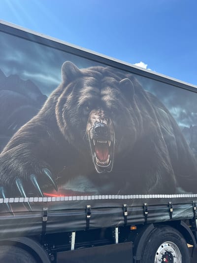 The image shows a close-up of a truck's trailer side. The trailer is adorned with a large, detailed mural of a roaring grizzly bear. The bear's mouth is open, revealing sharp teeth, and its fur is rendered with realism. Behind the bear, a dark, mountainous landscape is depicted under a stormy sky. The truck itself is black, and parts of the chassis and a tire are visible at the bottom of the frame. Reflective tape lines the lower edge of the trailer. The scene is outdoors under a bright blue sky with some wispy clouds. The mural's placement on a commercial vehicle suggests it's a form of advertising or decoration for a business. The image does not provide enough information to determine the specific location in Novogorelovo, Russia.