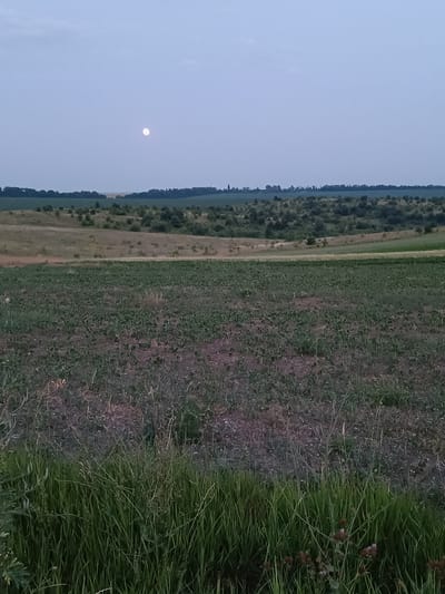 This image depicts a rural landscape at dusk or dawn. In the upper left quadrant of the sky, a full moon is visible. The foreground is dominated by a cultivated field, likely crops, with rows of green plants. Behind this field, rolling hills are covered with a mixture of dry grass, green vegetation, and scattered bushes. A treeline forms a dark band along the horizon, with what appears to be distant buildings or structures visible in the far distance. The sky is a pale blue, transitioning to a darker shade towards the top of the frame. The overall impression is one of a quiet, natural setting in a rural area, possibly on the outskirts of the city of Lozova, Ukraine, given the geographical context. There are no people or animals visible in the image.