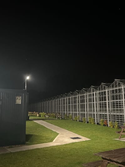 A nighttime exterior shot captures a row of greenhouses with a dark sky overhead, likely in the Borough of Swale, United Kingdom. A tall, illuminated lamp post stands to the left, casting light onto a dark grey, rectangular building or container. A concrete path winds through a well-maintained lawn, leading towards the greenhouses. Picnic tables with wooden benches are visible on the grass. The greenhouses themselves are characterized by their glass roofs and white metal frames, extending diagonally across the frame. The overall scene suggests an outdoor facility, possibly a horticultural center or garden center, operating into the evening.