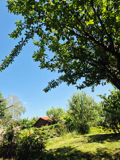 The image depicts a sun-drenched backyard scene, likely in Altdorf, Germany, on a clear day. The foreground is dominated by a large tree with lush green leaves, its branches extending across the top of the frame, casting dappled shadows on the grassy ground below. To the left, a weathered wooden fence runs horizontally, separating the lawn from overgrown greenery and some tall grass. In the middle ground, a small, rustic wooden house with a red-tiled roof is visible, nestled amongst a variety of trees and bushes. A slender, pale tree with white bark stands to the left of the house. The sky is a vibrant, cloudless blue. The overall impression is one of a peaceful, rural or suburban outdoor space.