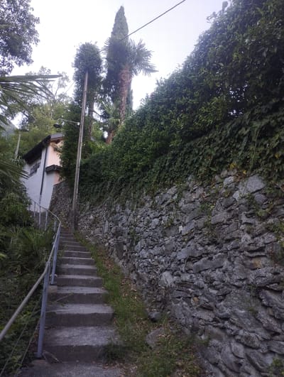 A concrete staircase with a metal handrail ascends along a rustic stone wall covered in ivy. To the left of the stairs is a light-colored building with a pinkish facade, partially obscured by lush green foliage and palm fronds. The stone wall, constructed from rough, irregular rocks, forms the right boundary of the scene. A tall, slender cypress tree and a palm tree are visible in the background, along with an overhead wire and a lamppost. The overall impression is of an outdoor staircase in a Mediterranean or subtropical climate, possibly in a hilly or terraced area. This scene is located in Muralto, Switzerland.