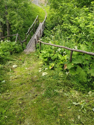 This media file depicts a wooden footbridge with rustic railings, descending a grassy slope. The bridge is made of weathered planks and rough-hewn wooden posts and rails, suggesting it is in a natural, possibly rural or park-like setting. Lush green foliage, including large-leafed plants and various grasses, surrounds the bridge and the path leading down to it. Small white wildflowers are interspersed among the greenery, adding touches of color.
The scene appears to be set during the daytime, with natural light illuminating the area. The weather seems pleasant, with the abundant greenery suggesting a time of growth, likely late spring or summer. The overall atmosphere is peaceful and serene, evoking a sense of nature and tranquility. The location is identified as Osinniki, Russia. No people are visible in the image, and there is no visible text. The focus is entirely on the natural landscape and the man-made structure integrated within it.