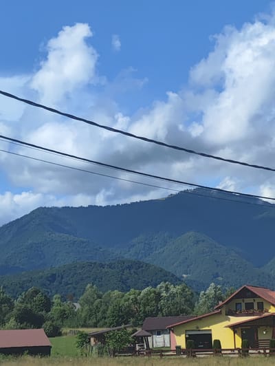 The image depicts a rural landscape in Petrova, Romania, under a bright blue sky dotted with white, fluffy clouds. In the foreground, power lines are strung across the frame. Beyond the power lines, rolling, tree-covered mountains recede into the distance, their slopes layered and shadowed. In the mid-ground, a cluster of buildings, including a prominent yellow house with a red roof, a smaller building with a brown roof, and a dark shed with a reddish roof, are nestled among lush green trees. A wooden fence runs along the property line. The overall scene is peaceful and pastoral, showcasing the natural beauty of the Romanian countryside.