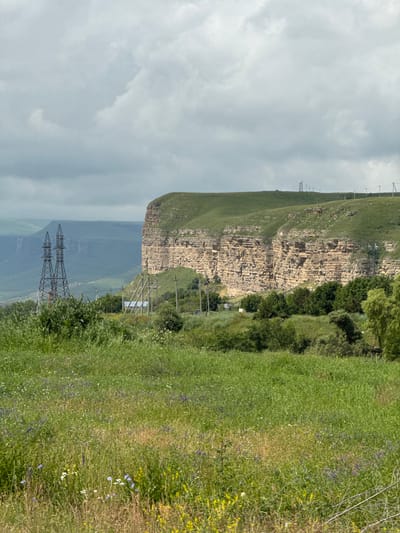 This image depicts a vast, verdant landscape dominated by a towering, layered cliff face. The cliff, composed of weathered rock with distinct horizontal striations, rises dramatically from a base of lush green foliage. The top of the cliff is covered in grass, sloping gently into the distance.

In the mid-ground, a prominent pair of tall, lattice-style electricity pylons stands against the backdrop of rolling green hills and distant, hazy mountains. Several smaller utility poles and wires are also visible, tracing a path across the landscape. A cluster of trees, ranging in color from dark green to lighter, more vibrant shades, is situated at the foot of the cliff.

The foreground is filled with a dense field of wild grasses and wildflowers, displaying a mix of greens, yellows, and subtle purples. The sky above is overcast with heavy, grey clouds. The scene suggests a rural or semi-rural environment, possibly on the outskirts of the city of Kubina, Russia, given the presence of power transmission infrastructure and the characteristic natural formations. No people or animals are visible in the frame.