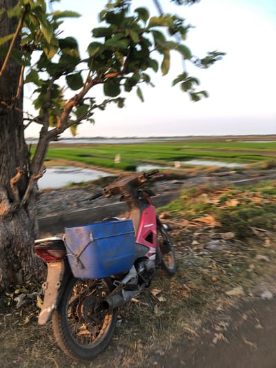 An outdoor, eye-level shot depicts a motorbike parked next to a tree in the rural outskirts of Sentul, Indonesia. The motorbike is red and pink with a blue storage bin attached to the back. The bike is positioned on a dirt path next to a body of water and a lush green field. The tree is large and has thick branches with green leaves. The sky is light blue with a few clouds. The image appears to be taken at sunset due to the warm lighting and long shadows. The scene is peaceful and serene, evoking a sense of calm and tranquility.