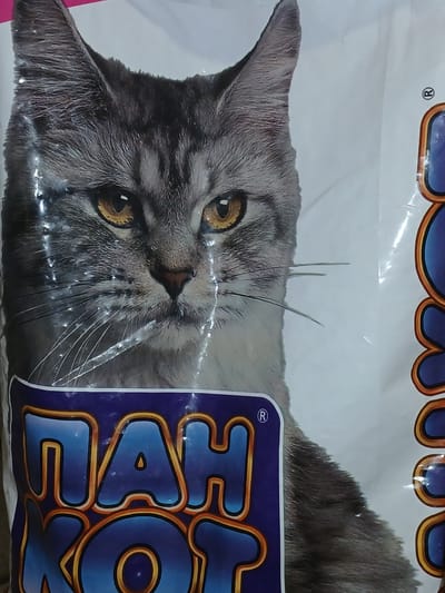 The image shows a close-up of a bag of cat food featuring a photorealistic image of a cat's face. The cat has gray and black tabby markings, with prominent yellow eyes. Below the cat's face, there is a purple band with text written in large, stylized blue letters with orange outlines. The text appears to be in Cyrillic and reads "ПАН КОТ" (Pan Kot), which translates to "Mr. Cat". To the right of the cat's head, there is a registered trademark symbol (®). The bag is white and appears to be made of plastic, with some reflective sheen on its surface. The background is a plain white surface. The image is a product photograph, likely for marketing purposes, and does not depict a scene in the city of Chutove, Ukraine.