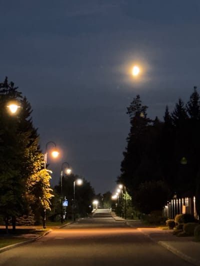 The image depicts a street scene at night, likely in the city of Zimyonki (Zimenki, Zimenka), Russia. A nearly full moon hangs in the dark, cloudy sky. The road is paved and illuminated by a series of streetlights on either side, casting a warm glow. Trees line the street, with some foliage visible on the left. In the distance, the road recedes, with more streetlights and the silhouette of trees. There are no people visible in the frame. The overall impression is one of quietude and artificial illumination against the natural darkness of night.