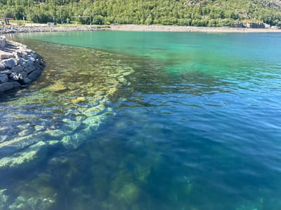 The image shows a body of water with a rocky shoreline and a lush green hillside in the background. The water is crystal clear in some areas, revealing submerged rocks and pebbles. The color of the water transitions from a translucent greenish-blue near the shore to a deep blue further out. On the shore, there is a stone wall construction. Behind the shoreline, a road is visible with trees and vegetation covering a gentle slope of a hill. A few structures, possibly part of a road infrastructure or small buildings, are present along the road. The sky is a clear, bright blue, indicating a sunny day. The scene appears to be a scenic coastal or lakeside area in Lødingen, Norway, given the visual characteristics of the landscape. There are no people or animals visible in the image.