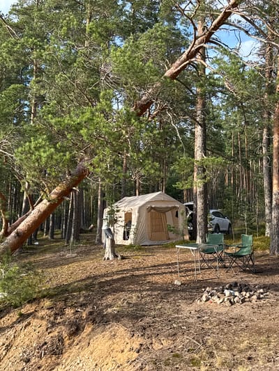 A campsite is set up in a pine forest near the city of Priladozhskoe, Russia. A beige canvas tent is pitched in the middle ground, with its entrance flap open. In front of the tent, a small metal table is set up with two green folding chairs. To the right of the chairs, a circle of stones indicates a fire pit. A white SUV is parked behind the tent, partially obscured by trees. The ground is covered with pine needles and dirt. In the foreground, a steep, sandy embankment slopes down. The scene is bathed in natural sunlight, casting shadows through the trees.