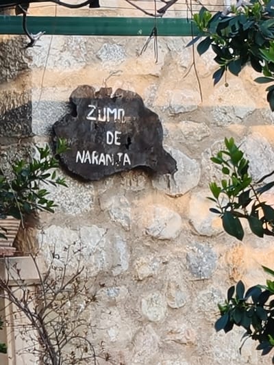 The scene depicts an irregularly shaped dark wood sign, approximately 0.5 meters wide, affixed to a light-colored, mortared stone wall in Fornalutx, Spain. The sign bears the white capital letters "ZUMO DE NARANJA" stacked vertically, indicating "ORANGE JUICE." The wall consists of various sized and shaped natural stones in shades of cream, grey, and light brown. Above the sign, a dark green horizontal beam or support structure is visible, from which thin, dry vines descend. Lush green foliage with elliptical leaves and small, round, pale green fruit or berries partially obscures the upper right side of the frame. In the lower left quadrant, a smaller plant with sparse, light green leaves and thin, reddish-brown branches extends into view. The scene is illuminated by direct sunlight, casting subtle shadows and highlighting the textures of the stone and wood. No individuals or specific actions are depicted.