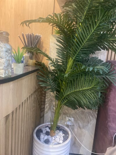 This image, captured in Monastir, Tunisia, presents an indoor scene within a commercial or public establishment. The central subject is a large artificial palm tree with numerous green fronds, standing in a white, ribbed cylindrical planter filled with a mix of white and dark grey decorative stones. To the left, on a dark countertop, a tall glass jar filled with white seashells and secured with twine is visible. Adjacent to it, a small succulent plant is potted in a grey concrete-style container. Behind these items, a clear glass vase holds a collection of individually wrapped, dark-colored straws or stirring sticks. The wall behind the countertop consists of light-colored wooden panels with vertical slatting. To the right of the palm tree, the background wall is composed of light-toned, marble-patterned tiling. An electrical outlet is present on this tiled wall, with a white charger and its attached white cable plugged in. A section of a dark red or maroon upholstered chair or bench is visible in the lower right, partially obscured by the palm foliage. The lighting casts distinct shadows of the palm fronds onto the tiled wall. No individuals are present in the frame.