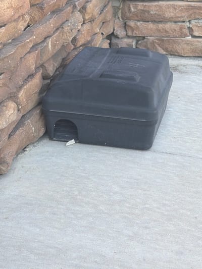 A black, rectangular bait station sits on a light gray concrete surface next to a stone wall. The bait station has a small, arched entryway on its left side. A small, white piece of material is visible just inside the entryway. The stone wall is constructed of irregular, earthy-toned stones. The scene appears to be outdoors in an urban environment.