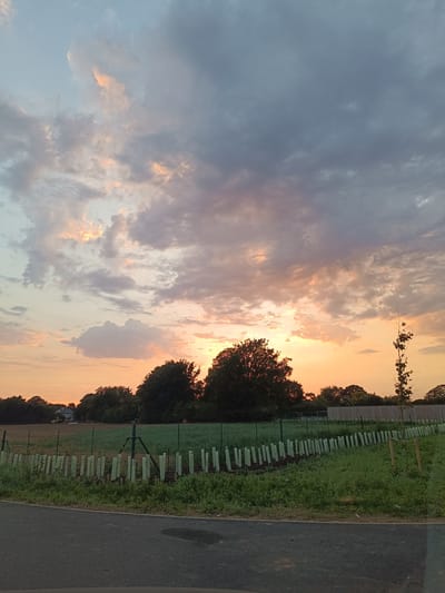 The image depicts a rural landscape at sunset, with a cloudy sky exhibiting hues of orange, pink, and grey. In the foreground, a grey asphalt road runs horizontally across the bottom of the frame. Adjacent to the road is a grassy area with a line of young trees protected by light-colored guards, forming a fence-like structure. Beyond this, a field of green crops is visible, bordered by a wire fence. Silhouetted trees form a dark line along the horizon, with a few buildings and construction equipment faintly visible in the distance. The overall scene is tranquil and indicative of a natural setting, likely in Arun, United Kingdom, given the characteristic vegetation and rural development. There are no people or animals visible in the image.
