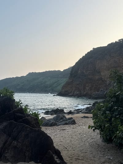 This image presents a natural coastal landscape within Sơn Trà Ward, Vietnam. The sky displays a clear gradient from light blue overhead to pale yellow-orange near the horizon, suggesting either early morning or late evening. The background is dominated by a chain of dark green, heavily forested hills and mountains, with a prominent, steep, dark brown rocky cliff face visible on the right. The sea features choppy, dark grey water with white-capped waves breaking on the shore. The shoreline consists of a sandy beach interspersed with numerous dark grey to black rocks of varying sizes. Green foliage from bushes partially frames the lower left and right foreground. No human figures, animals, or artificial structures are visible in the scene.