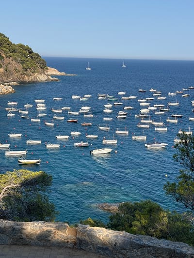 A sunny, elevated view shows a bay filled with numerous small boats moored in calm, deep blue water. To the left, a steep, tree-covered hillside slopes down to the water, with a rocky shoreline. The horizon is a clear, light blue sky. The boats are of various types, mostly motorboats and a few sailboats, clustered in the bay. Some are white, while others are darker. There are no people visible in or around the boats. The water is clear enough to see some of the seabed in shallower areas. In the foreground, a rough-hewn stone wall and a paved walkway are visible, with green trees and foliage overhanging the scene. This is likely the coastline of Llafranc, Spain, given the characteristic landscape of the Costa Brava.