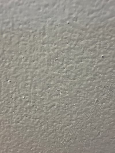 This is a close-up, abstract photograph of a textured, light gray surface. The surface appears to be a wall, possibly painted, with a slightly uneven and rough texture. There are small raised bumps and indentations across the surface, creating a subtle pattern of light and shadow. In the center of the image, there is a small, circular impression or bubble in the material. Towards the top right, a very fine, dark strand, possibly a hair or a thin fiber, is visible lying on the surface. The lighting suggests it is a well-lit indoor environment, though the exact time of day and weather conditions are not discernible. There are no people, objects, or discernible text in the image. The focus is entirely on the texture and subtle imperfections of the wall.