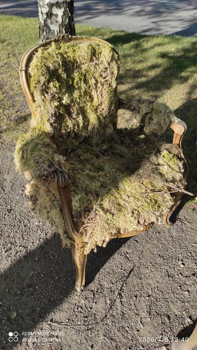 The image depicts an ornate, antique chair that has been completely overgrown with moss and natural debris. The chair appears to be made of wood with carved details and is situated outdoors on a gravelly surface, with a patch of grass and a birch tree visible in the background. The scene suggests a natural or abandoned setting, possibly a garden or park area. The lighting indicates it is daytime, with shadows cast by the chair and surrounding foliage. No people are present in the image. The location is identified as Iisalmi, Finland.