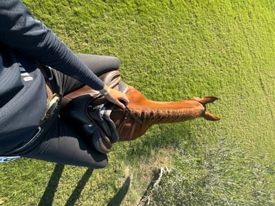 An overhead shot shows a person on horseback in a grassy field. The horse, light brown with a braided mane, faces left. The rider wears dark leggings, a dark long-sleeved top with a white inscription, and sits in a black saddle. The rider's left arm, adorned with a silver bracelet, holds a dark object near the horse's neck. A tree is partially visible at the top left. The background is green grass illuminated by sunlight.