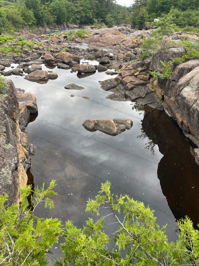 The image depicts a rugged, rocky river landscape with dense green foliage and trees in the background. The river is partially submerged with numerous large, smooth rocks of various sizes, some fully exposed and others partially covered by the dark, reflective water. The water's surface shows reflections of the cloudy sky and some floating debris, possibly leaves or small twigs. There are what appear to be man-made lines, possibly from a power line or fishing net, stretched across the water in multiple places. On the right side of the image, a large, dark rock formation protrudes into the water. In the foreground, vibrant green branches of what appears to be a coniferous tree extend into the frame, providing a natural border to the scene. The overall impression is a wild, natural setting within a river system. While the provided information mentions Village of Lyons Falls, United States of America, there are no specific landmarks or signs in the image that definitively place it there.