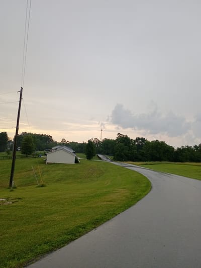 This media file depicts an outdoor scene, likely in a rural or suburban setting in Bagdad, United States. The image is oriented vertically, showing a winding asphalt road on the right, bordered by a lush green lawn. A line of dense green trees forms a backdrop to the lawn. In the middle ground, a light-colored building with a gabled roof is visible, suggesting it's a house or a small structure. A wooden utility pole with wires is prominent in the foreground on the left. The sky is overcast with muted, diffused light, indicating it might be early morning, late evening, or a cloudy day. There's no explicit activity taking place, and the overall mood is serene and quiet. The presence of a utility pole and the building suggests a residential area or a property with infrastructure. The weather appears to be calm, with no strong indicators of rain or wind, although the overcast sky might hint at impending precipitation.