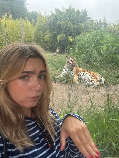 A selfie-style photograph depicts a young Caucasian female in the foreground and an adult tiger in the mid-ground, located at Parque Biológico da Maia, Cidade da Maia, Portugal. The female, possessing long, light brown hair with blonde highlights, is wearing a navy blue and white striped long-sleeved shirt. A pair of tortoiseshell-patterned sunglasses hangs from her collar. Her left hand, featuring red polished fingernails, is partially visible in the lower right. She maintains a neutral expression, looking directly at the camera. Behind her, an orange, black, and white striped tiger lies on a patch of dirt and sparse grass. The tiger's head is turned towards the viewer, with its tongue slightly extended. The background consists of dense green foliage, including bamboo-like plants, and a fence with metal posts and wire strands. Another animal is partially obscured by vegetation further within the enclosure. The ground surface is a mixture of earth and grass.
