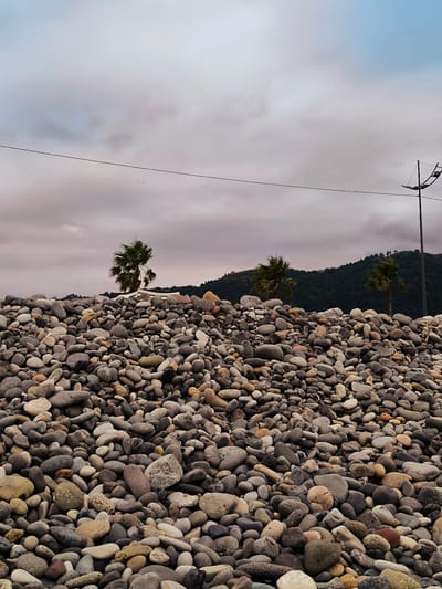 The image shows a wide shot of a beach area in Zemo Kvariati, Georgia. In the foreground, a large pile of smooth, rounded pebbles of various sizes and colors dominates the view. These pebbles range from light gray and beige to darker grays and browns, with some showing speckled patterns.

Behind the pebble pile, three palm trees are visible. The first palm tree, on the left, is partially obscured by the pebbles. The second and third palm trees are further back, standing amongst the pebbles, with their fronds extended.

In the background, a dark green, tree-covered hillside rises, with some structures visible on its slopes. The sky above is overcast with shades of gray and white clouds, with a hint of pale blue at the top. A thin black wire stretches horizontally across the sky, supported by a utility pole on the right side of the frame. The pole has a fixture that appears to be a light. The overall scene is natural and coastal, with a cloudy sky suggesting a potentially temperate or humid climate. No people are visible in the image.
