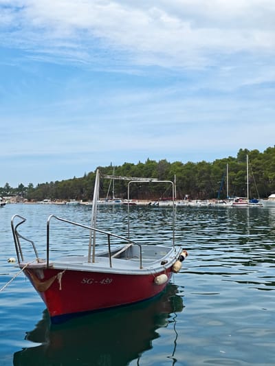 A red and white motorboat, identified by the inscription "SG - 459" on its side, is moored in calm, rippling blue water. The boat has stainless steel railings and fenders deployed on its port side. In the background, a densely wooded coastline with green trees stretches horizontally. Numerous other boats, mostly sailboats and smaller motorboats, are anchored or docked along the shore. The sky above is a pale blue with scattered white clouds. The scene appears to be set in a bay or harbor within the city of Grad Stari Grad, Croatia, likely a sunny or partly cloudy day. There are no people visible in the image.