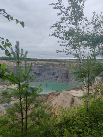 An aerial view of a large, open-pit quarry is captured on a cloudy day, with a vibrant turquoise body of water at its base. The quarry exhibits distinct terraced layers of excavated rock and soil, with a network of roads visible on its upper levels. In the foreground, lush green foliage and young pine trees create a natural frame, partially obscuring the quarry's expansive landscape. The distant horizon reveals a dense forest bordering the quarry. The location is identified as the city of Pioner, Russia, suggesting this is likely a former mining site or an active quarry within or near the city. No people or specific actions are depicted. The scene is purely environmental and geological.