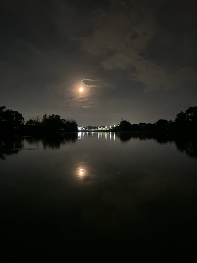 The image depicts a nighttime scene of a body of water, possibly a river or lake, with its surface acting as a mirror. The image is oriented vertically, with the top half appearing to be the reflection and the bottom half the actual scene, or vice versa.

In the reflected portion, we see a dark, cloudy sky with two bright orbs of light. One orb, larger and more prominent, is partially obscured by clouds and appears to be the moon. The other orb, smaller and more diffused, is likely a reflection of artificial lights. The reflection of trees is visible as dark silhouettes against the lighter sky. There are also faint, scattered lights suggesting buildings or structures along the distant bank.

In the actual scene portion, the water reflects the sky and the elements above. The bright orb identified as the moon is clearly visible, illuminating the surrounding clouds. The reflection of the trees is also present, extending into the dark water. Along the bank, a line of artificial lights creates a shimmering reflection on the water's surface, hinting at a developed area or a pathway with lighting. The overall mood is serene and tranquil, with the darkness and the reflections creating a sense of mystery and calm. The time of day is clearly night, and the weather appears to be cloudy but clear enough for the moon to be visible. No specific text is legible in the image. The location context provided is Agronom, Russia.