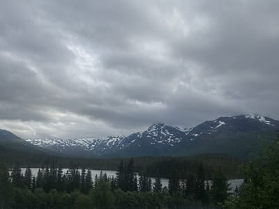 A serene landscape unfolds with a body of water in the foreground, bordered by a dense forest of dark green coniferous trees. Beyond the trees, majestic mountains rise, their peaks adorned with patches of snow. The sky above is filled with dramatic, heavy grey clouds, suggesting overcast weather. The overall mood is one of quiet, rugged natural beauty, with the muted colors and soft light creating a tranquil atmosphere. The scene is likely set in the Elsfjord region of Norway, known for its stunning fjords, mountains, and forests. There is no visible text in the image.