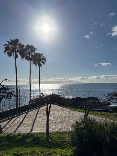 The image displays a coastal scene in Santiago del Teide, Spain, under bright sunlight. The sun, a prominent luminous disc with visible lens flare, is situated in the upper left sky quadrant, which is predominantly blue with scattered white cumulus clouds. Three tall palm trees are silhouetted against the bright sky on the left side of the frame. Below them, a black metal fence with a stone base runs along the edge of a dark blue ocean. The ocean surface exhibits a strong sun glare creating a shimmering path extending towards the horizon, where a distant landmass is visible, partially obscured by low-lying clouds. A paved area, composed of irregularly shaped light-colored stones, occupies the midground. Long, distinct shadows from the palm trees and other bare, gnarled trees are cast across this paved surface. Green grass and dense, dark green foliage constitute the immediate foreground on the right. A streetlamp is visible between two of the palm trees. No individuals are present in the scene.