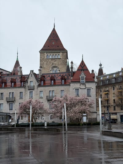The image displays Place de la Riponne in Lausanne, Switzerland, under an overcast sky. The foreground is a wet, paved urban square, reflecting light and structures.

The central and dominant structure is the Palais de Rumine, a large building constructed from light grey stone. It features a tall, square central tower with multiple arched windows and a steeply pitched, red-tiled roof detailed with darker geometric patterns. This architectural style continues across the building with various gabled sections, smaller spired towers, and numerous dormer windows, all topped with similar red-tiled roofs. The stone facade includes multiple stories with rectangular windows and several balconies adorned with wrought iron railings.

In the mid-ground, a cluster of deciduous trees with numerous light pink blossoms is positioned directly in front of the Palais de Rumine, indicating spring. Several dark green public benches are visible behind these trees. The paved square features multiple tall, slender, silver-colored cylindrical poles arranged vertically, possibly for lighting or as public art. A white information sign mounted on a dark pole stands near the center of the mid-ground.

To the right of the Palais de Rumine, a multi-story building with a light yellow or beige facade, balconies, and a complex roof structure with dark tiles is partially visible. No individuals, animals, or active vehicles are present in the scene. No specific actions or interactions are occurring.