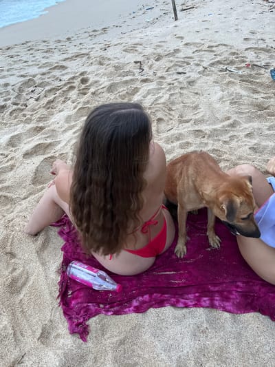 The image shows a group of people and a dog on a sandy beach. The scene is set in Batawala, Sri Lanka. The main subject is a woman with long, dark hair, wearing a red bikini. She is sitting on a purple sarong on the sand, with her back to the camera. A tan-colored dog is standing next to her, looking down. Another person, partially visible, is sitting to the right of the woman, wearing a blue garment. A plastic water bottle with a pink cap is lying on the sarong. The beach is covered in light-colored sand, and the ocean with gentle waves is visible in the background. There are some footprints and debris on the sand.
