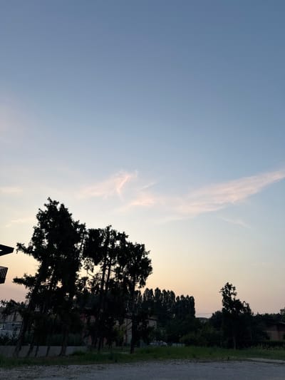 The image shows a silhouetted view of trees against a pale blue and pink sky at dusk. In the foreground, there is a gravelly area. Behind the trees, there are glimpses of buildings and a line of taller trees. A thin, wispy pink cloud is visible in the sky. The overall scene suggests a quiet evening in a semi-urban or rural setting. The location is identified as Mejaniga, Italy.