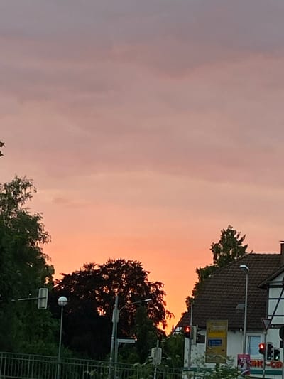 The image depicts a sunset in the city of Rinteln, Germany. The sky is painted with hues of pink and orange, indicating the sun has recently set or is about to set. Silhouetted against the colorful sky are the dark green foliage of trees and the rooftops of houses. In the foreground, there is a street scene with traffic lights and street lamps. A fence runs along the bottom of the image, suggesting it might be a road or a public walkway. The overall impression is a serene evening in a German town.